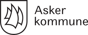 Et etablert konsept